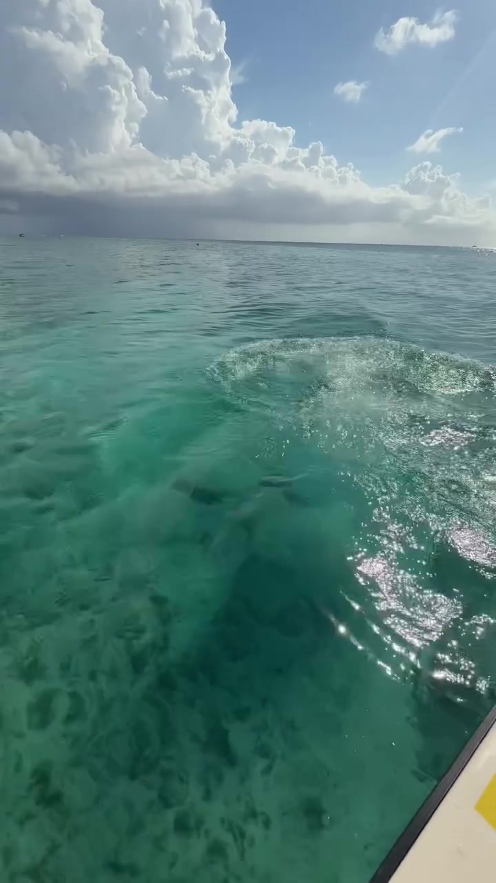 DB视讯官网🤩😘早早开启假期模式！乔治娇妻晒两人海边度假照🌞